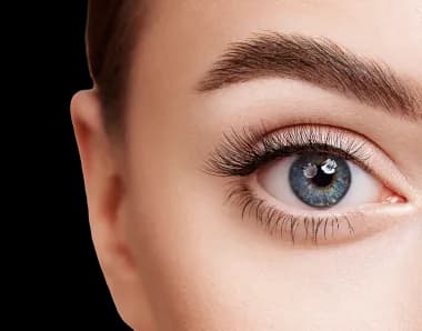 Lashes & Brows
